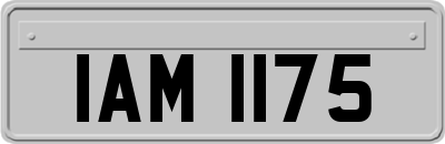 IAM1175