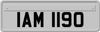 IAM1190