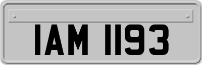 IAM1193