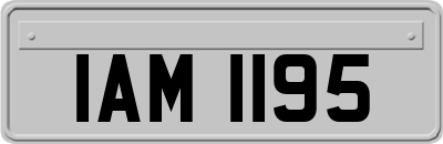 IAM1195