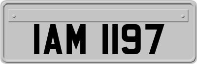 IAM1197