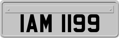 IAM1199
