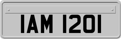 IAM1201