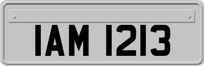 IAM1213