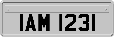 IAM1231