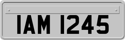 IAM1245