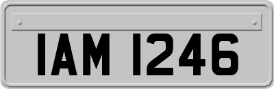 IAM1246