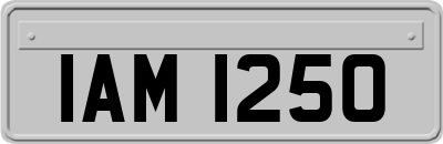 IAM1250