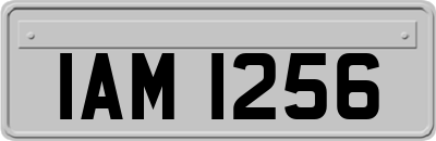 IAM1256