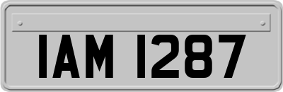 IAM1287