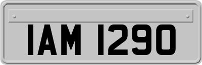 IAM1290