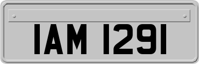 IAM1291