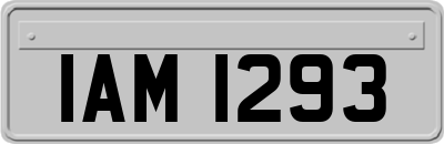 IAM1293