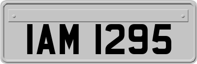 IAM1295