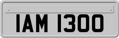 IAM1300