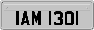 IAM1301