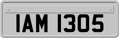 IAM1305