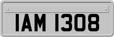 IAM1308
