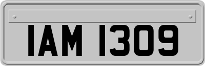 IAM1309