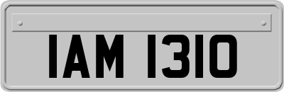 IAM1310