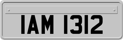 IAM1312