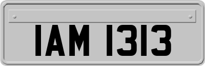 IAM1313