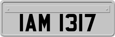 IAM1317