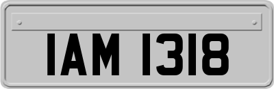 IAM1318