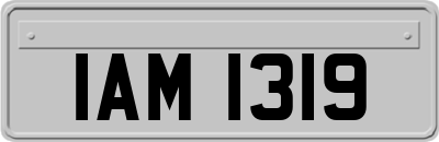 IAM1319