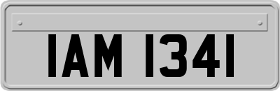 IAM1341