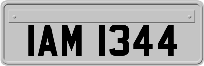 IAM1344