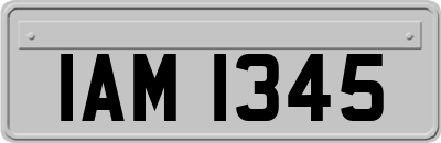 IAM1345
