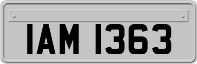 IAM1363