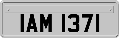 IAM1371