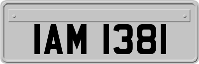 IAM1381