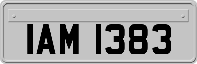 IAM1383