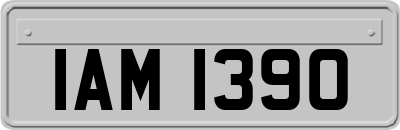 IAM1390
