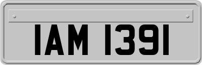 IAM1391