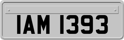 IAM1393