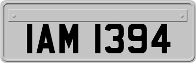 IAM1394