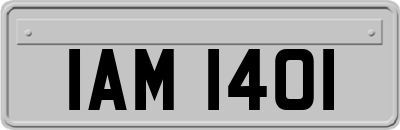 IAM1401