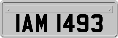 IAM1493