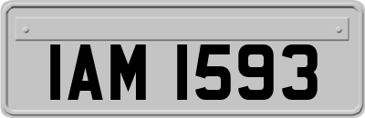 IAM1593