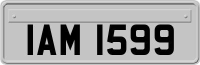 IAM1599