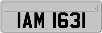 IAM1631