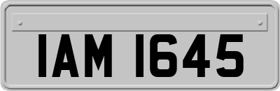 IAM1645