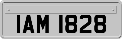 IAM1828