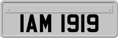 IAM1919