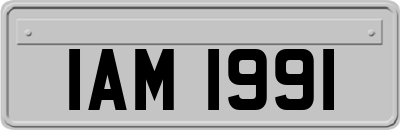 IAM1991