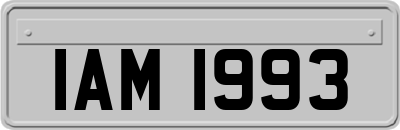 IAM1993
